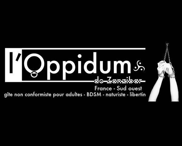 The Oppidum
